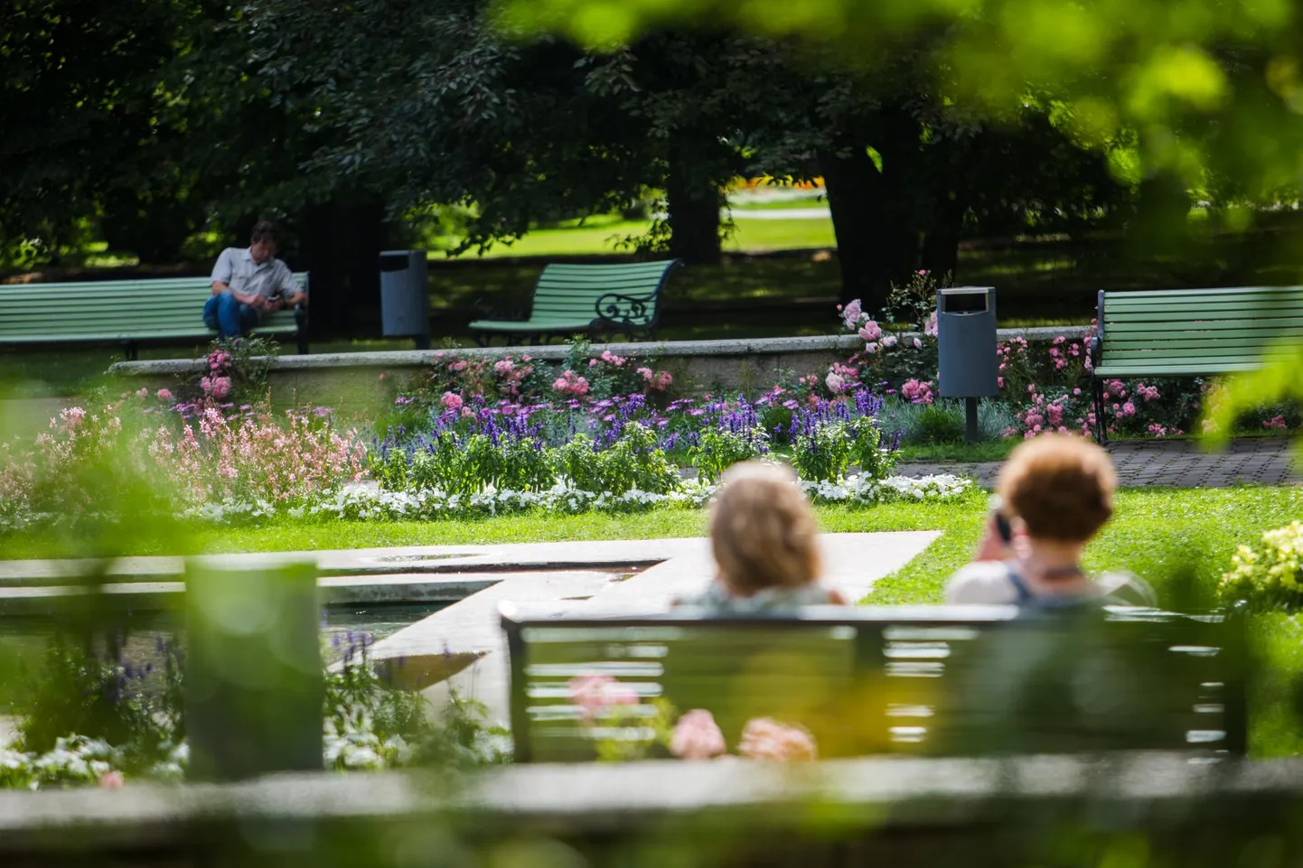 Koidula park on üks Pärnumaa aiapärle.