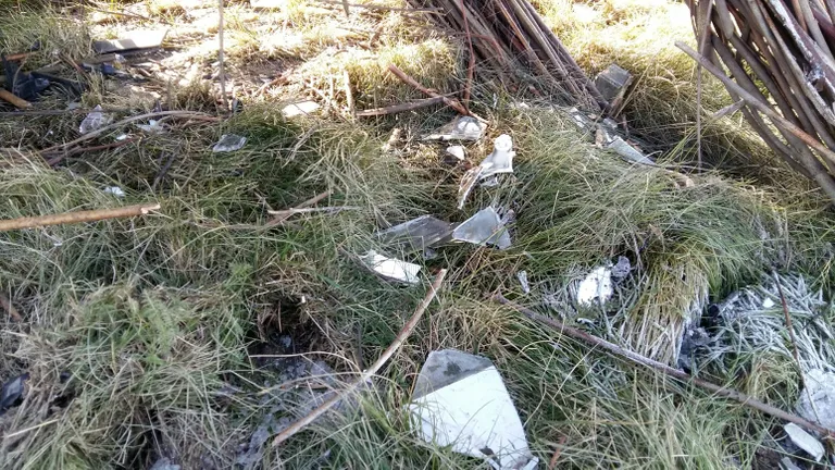 Auto esiosast jäid lehma alla plastijupid ja klaasikillud.