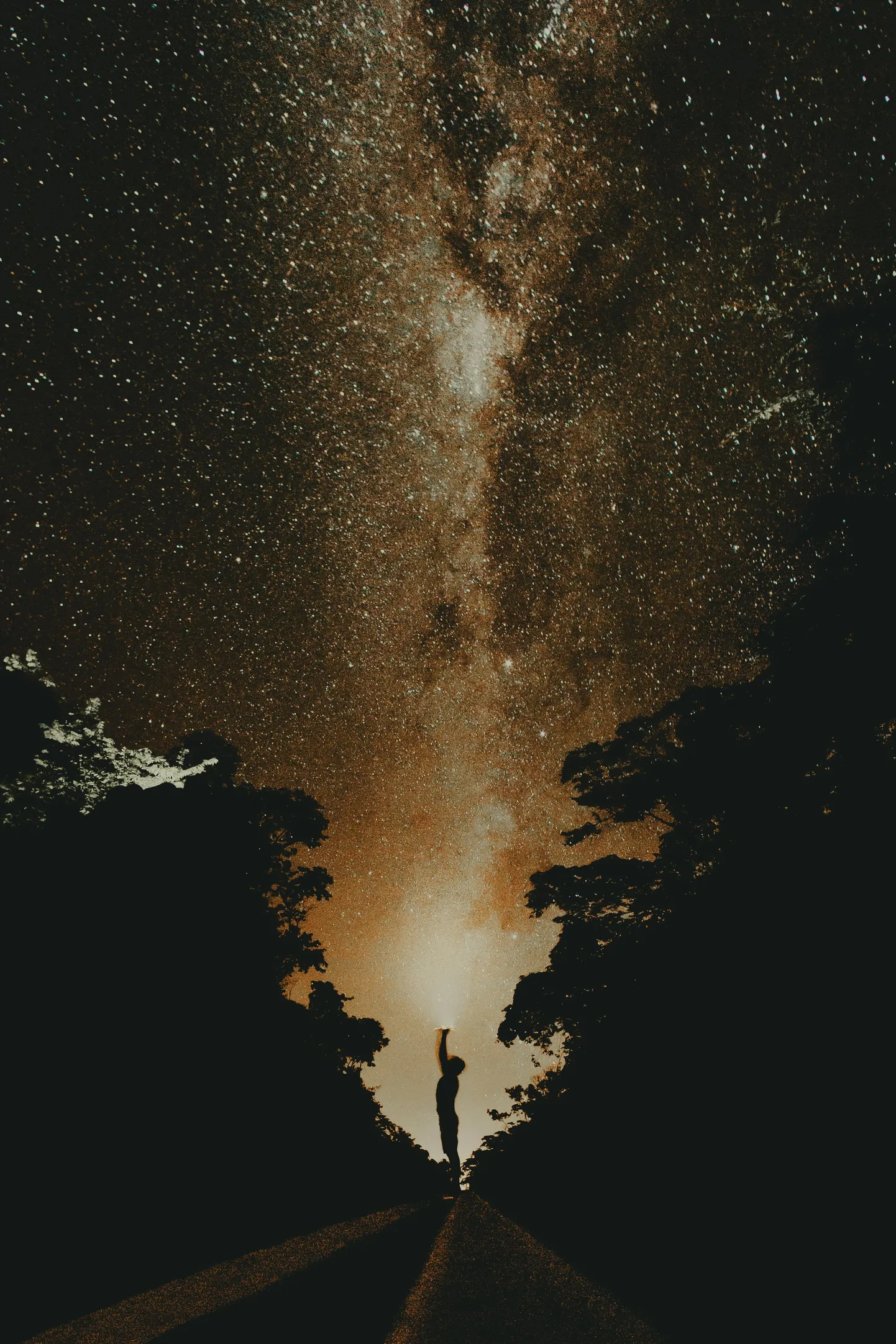 Artikli foto
