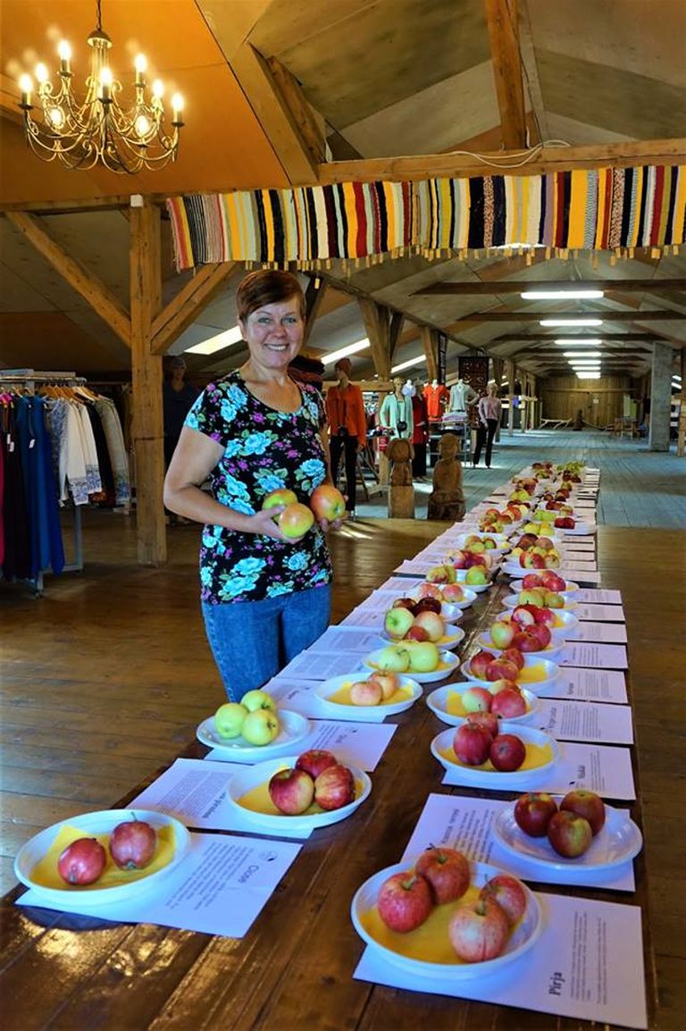 Piia Tiigemäe Rebase talust pani Jänedal üles õunanäituse.
