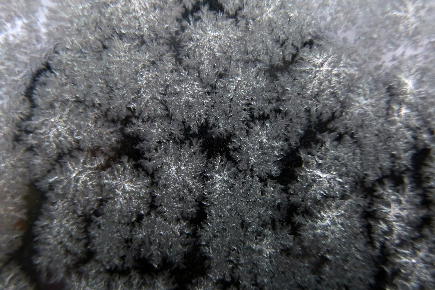 Фото статьи