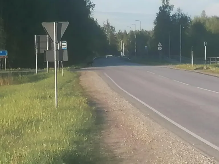 Ehkki pilti teinud mees lootis südames, et karu tuleb lähemale, nii ei läinud. Mööda sõitnud kaubiku peale ehmatanud karuott pani plagama.
