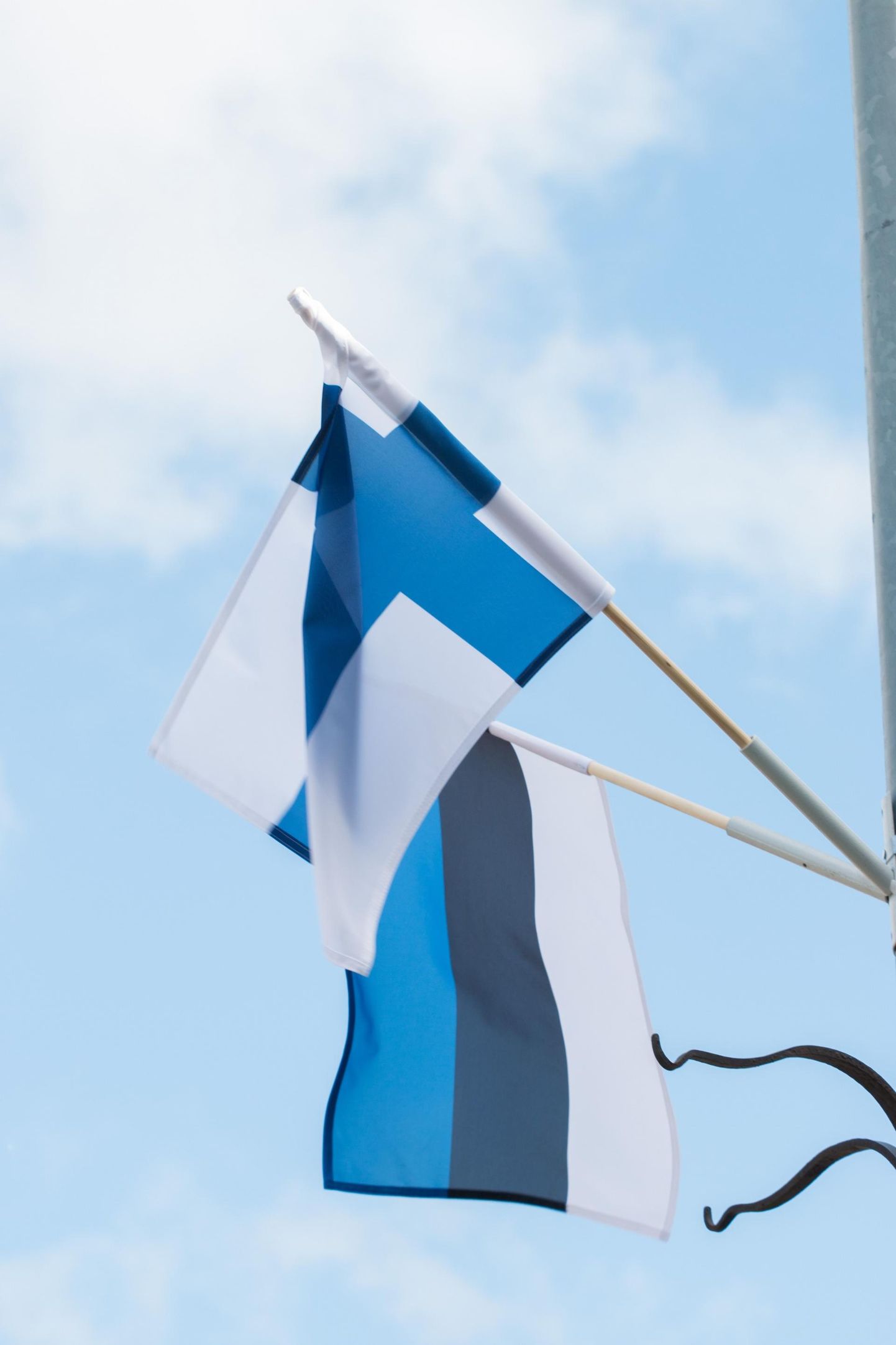 Otsus eesti keele õpet Soome ülikoolides koomale tõmmata tähendab ka, et siinse kultuuri mõtestajaid jääb teispool Soome lahte oluliselt vähemaks.