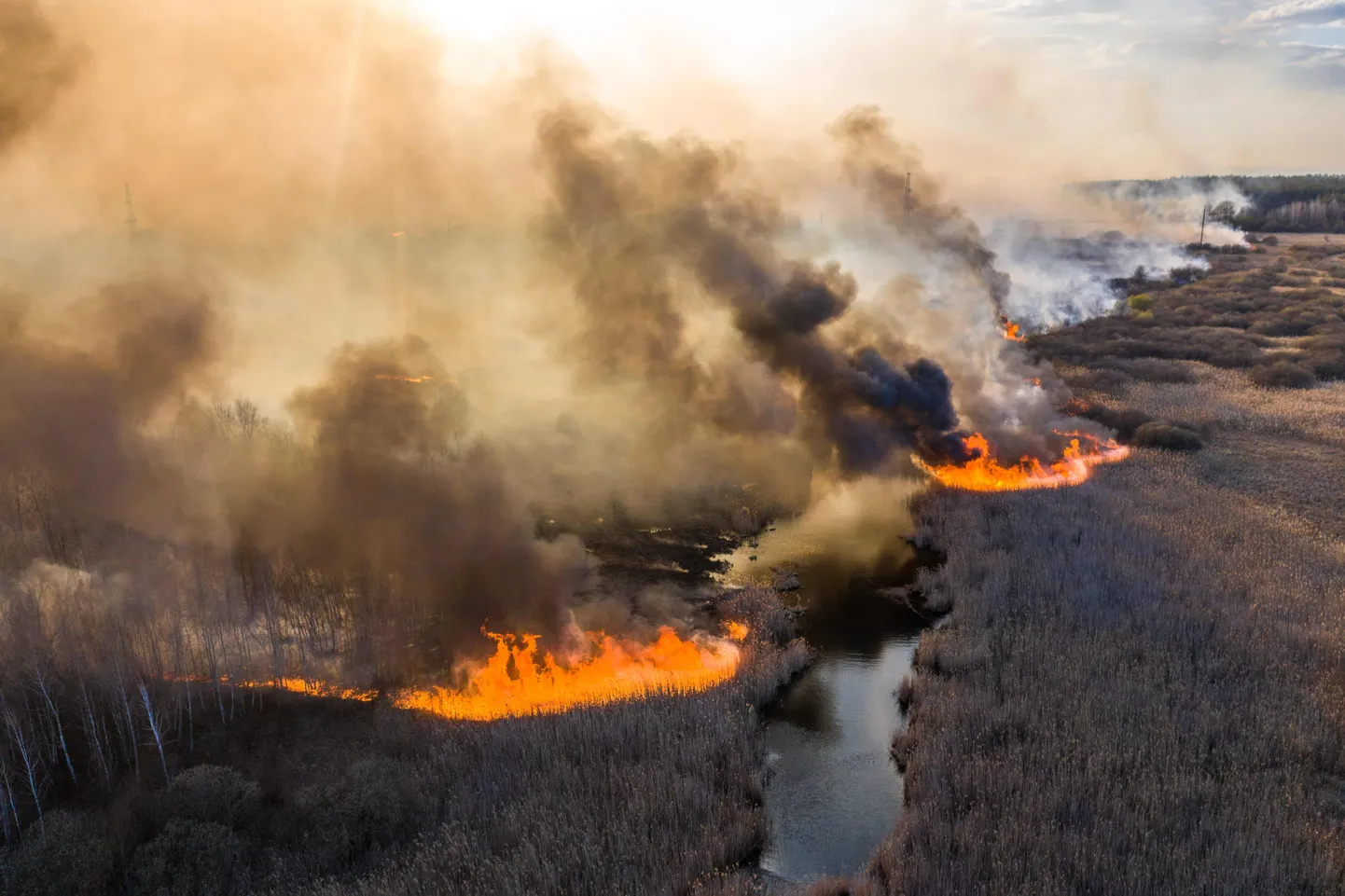 10.04.2020, maastikupõleng Tšornobõli läheduses.
