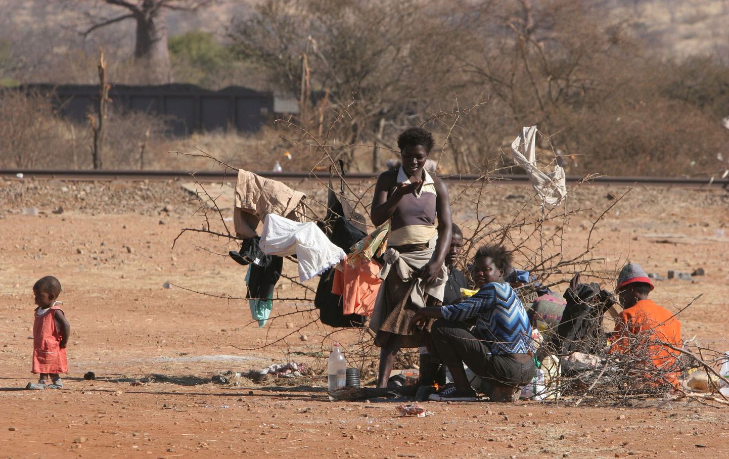 Zimbabwelased on nälja tõttu hakanud lehmanahku sööma