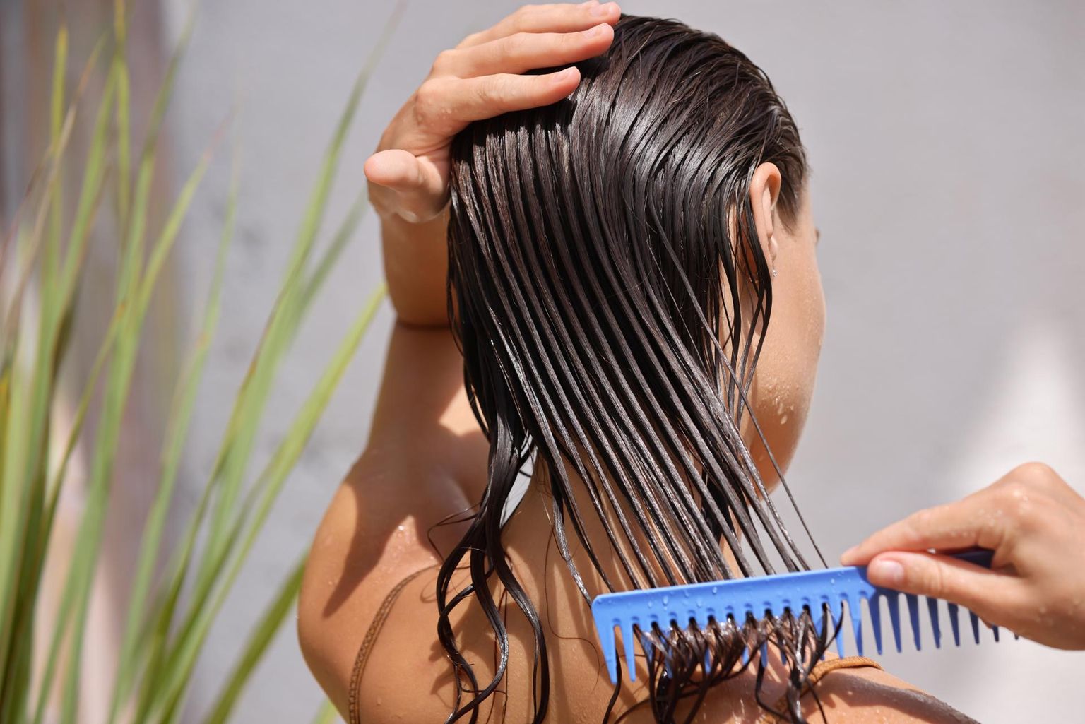Taimedest saab valmistada juuksemaske ja loputustõmmiseid.Shutterstock