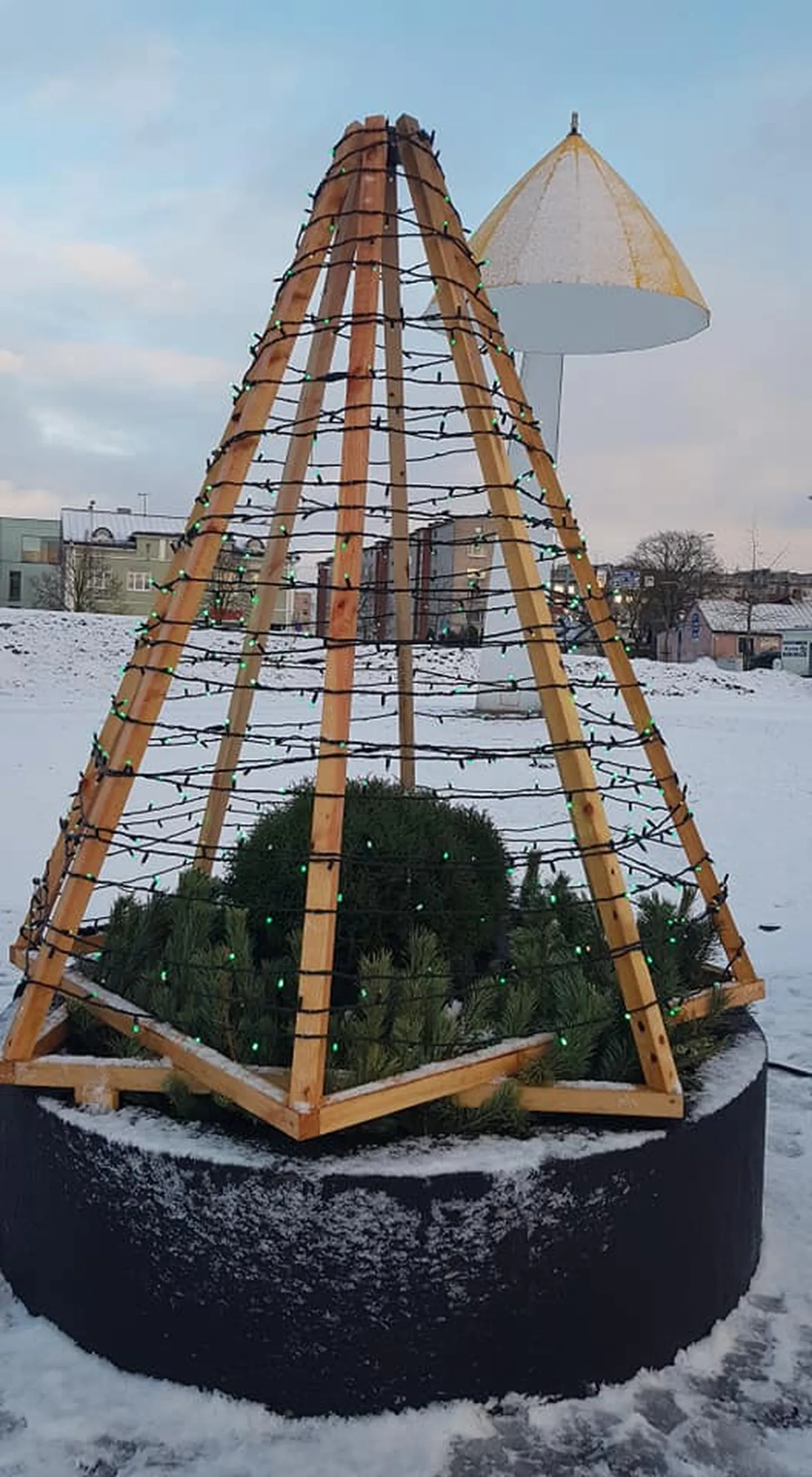 Фото статьи