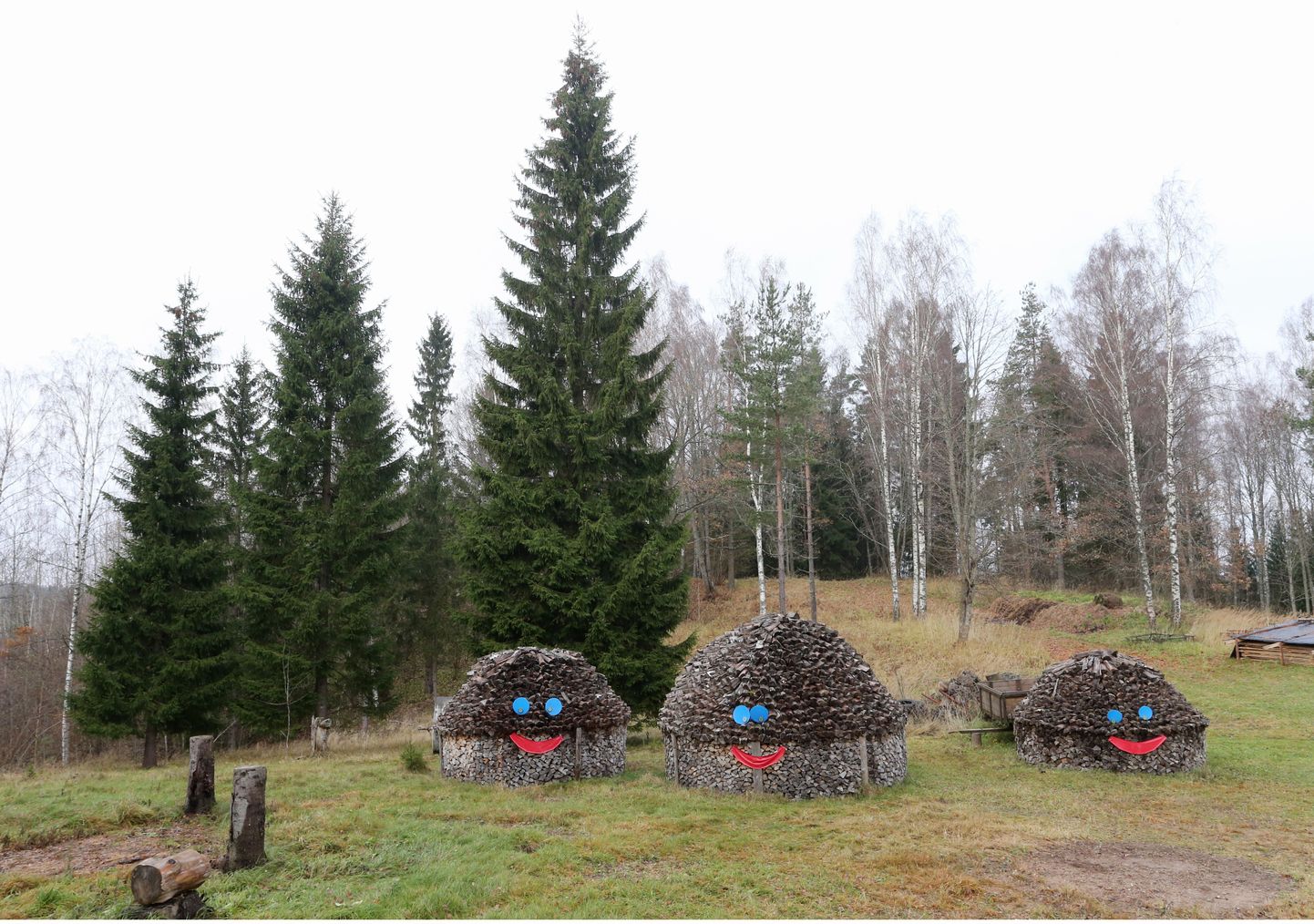Nagu ütles Kuusemäe talu perenaine Juta Velleram, valvavad novembri lõpuni Tartu tänavust jõulupuud (keskel) puuriidapokud.