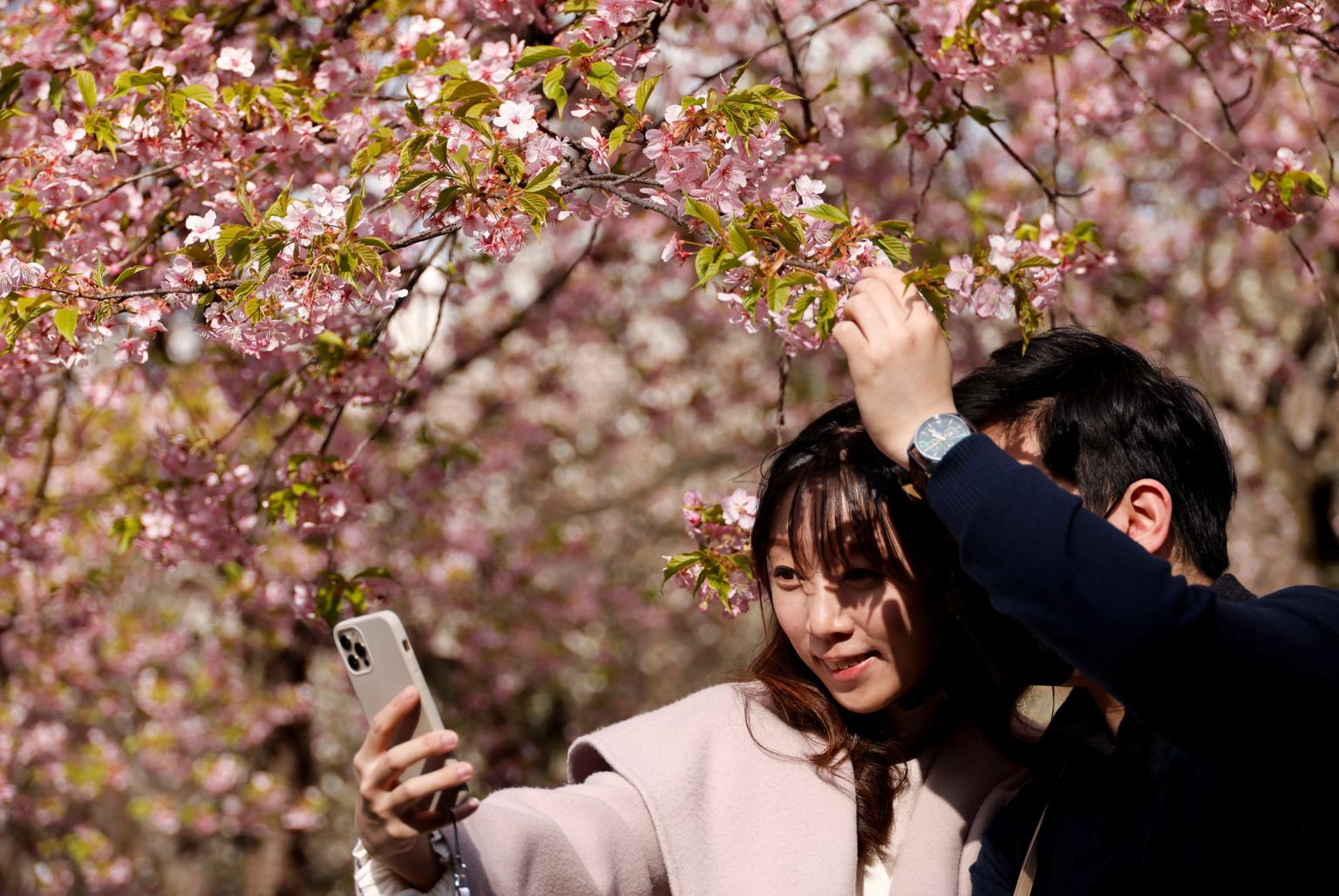 Jaapanlased tegemas 14. märtsil 2023 Tokyos kirsiõitega selfit