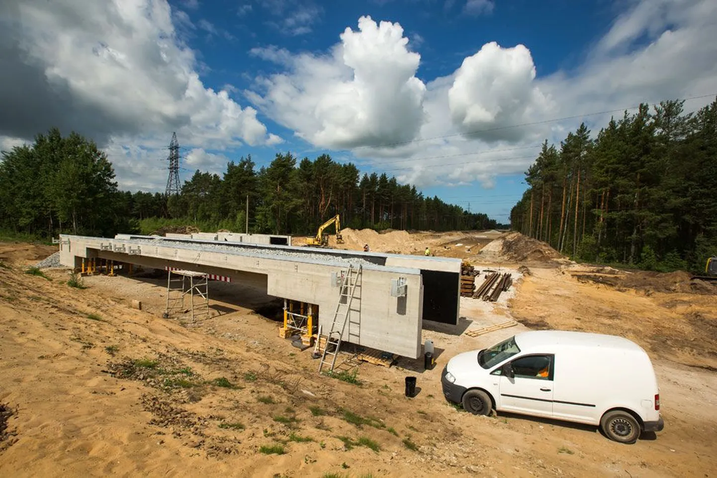 Eestis pole varem viadukte nii rajatud, et selle konstruktsioon ehitatakse mujal valmis ja viiakse siis hiljem oma kohale raudteetammis.