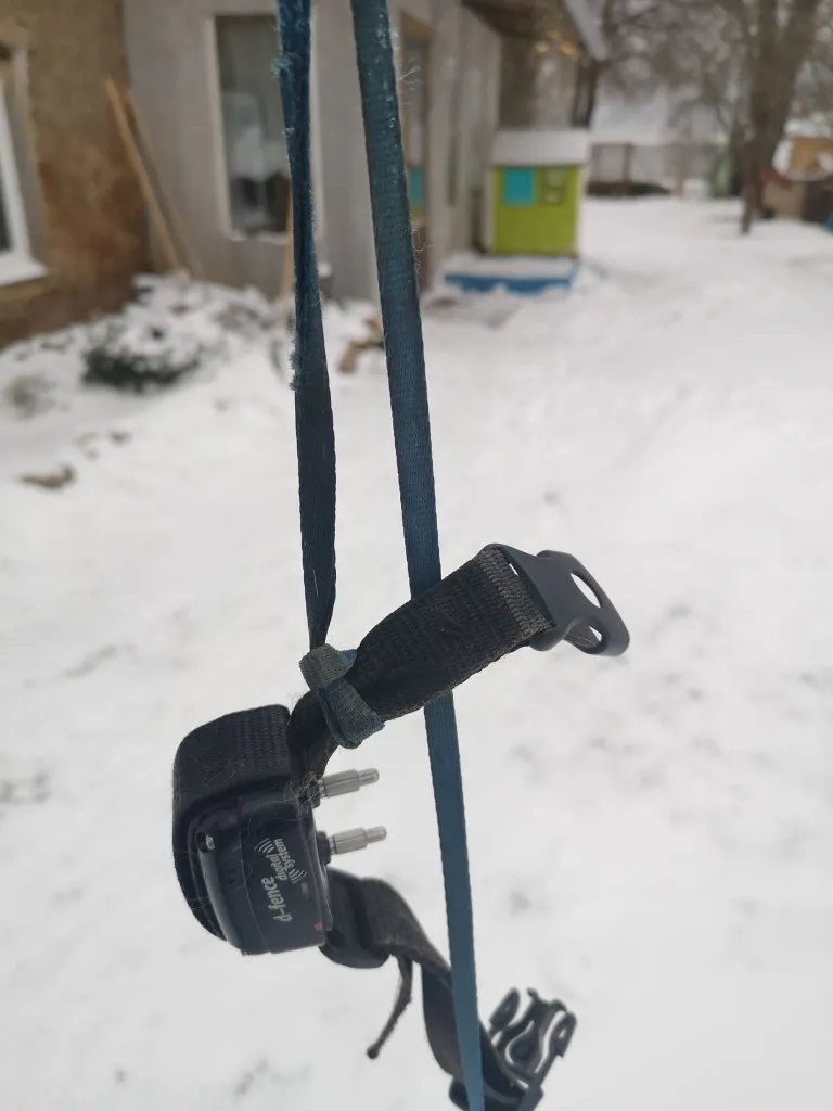Tommi kaela ümber olnud elektriline kaelarihm.
