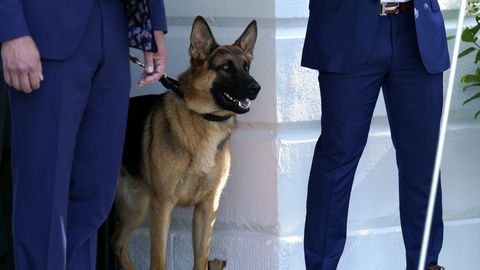Joe Bideni koer Commander hammustas salateenistuse agente vähemalt 24 korral