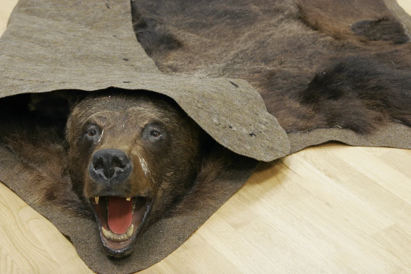 Karu nahk