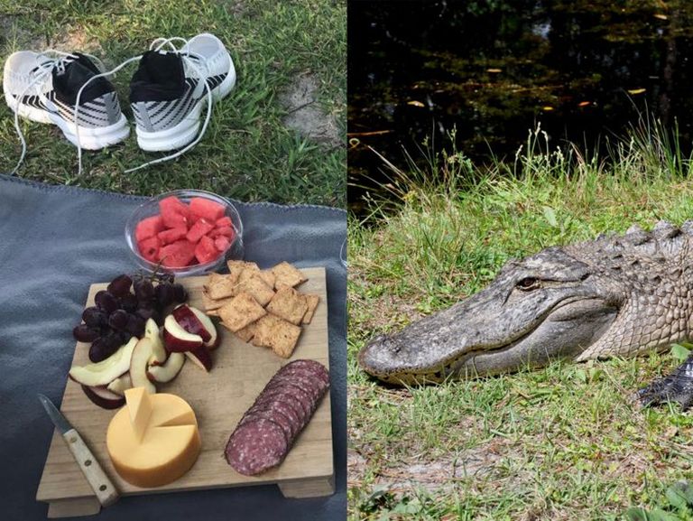 Alligaator sõi ära noorte piknikutoidu