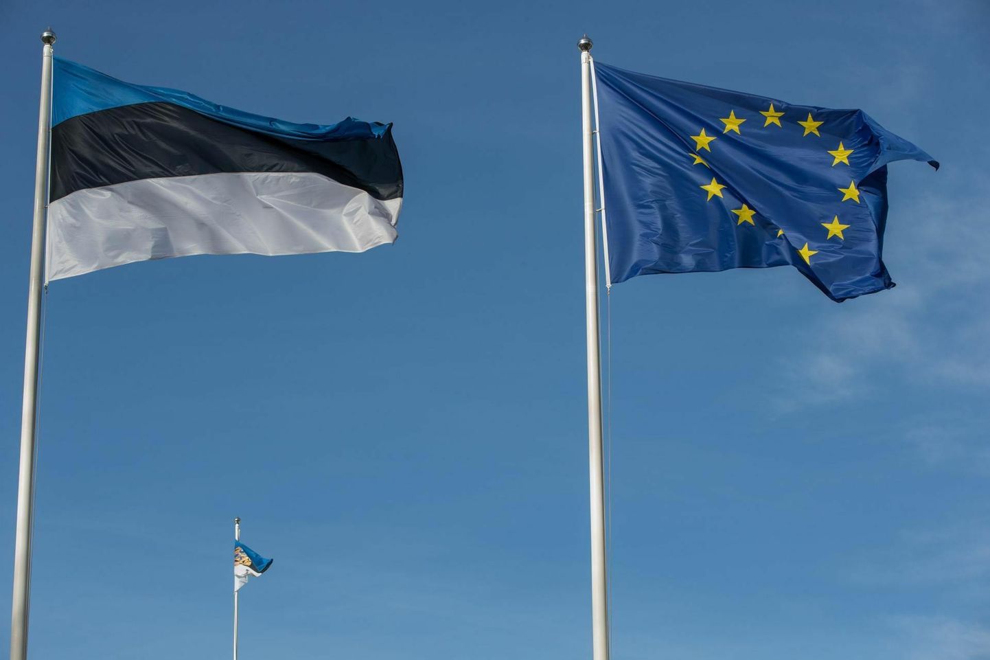 Euroopa Liidu lipp ja Eesti lipp.