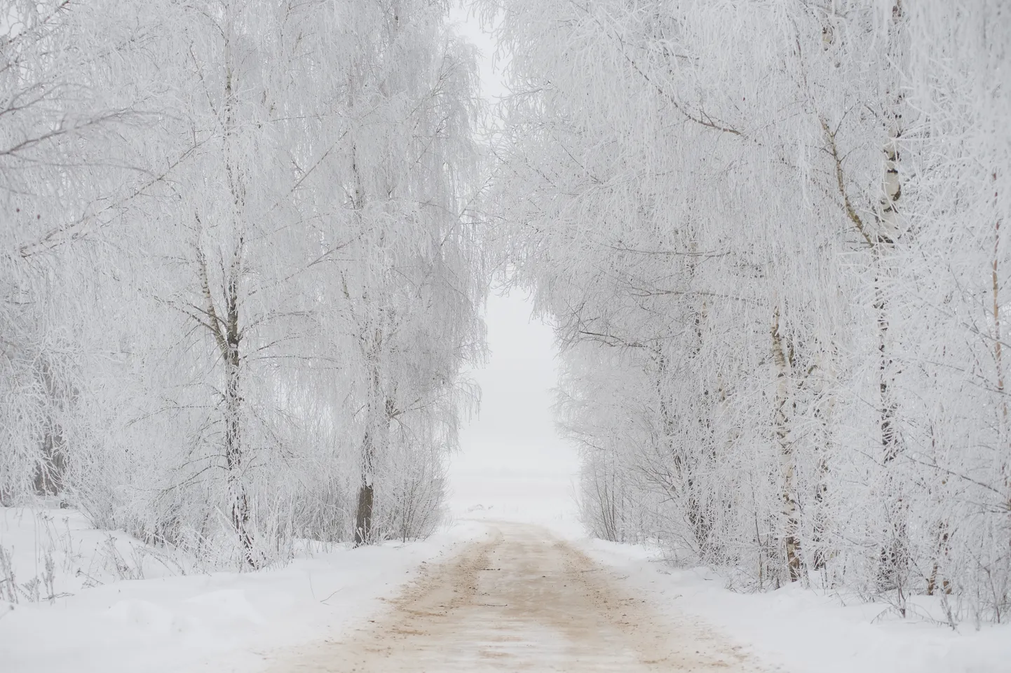 Foto: Ziemas sals Latvijas ārēs
