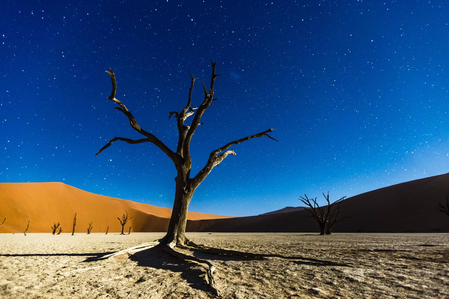 Namiibi kõrb.