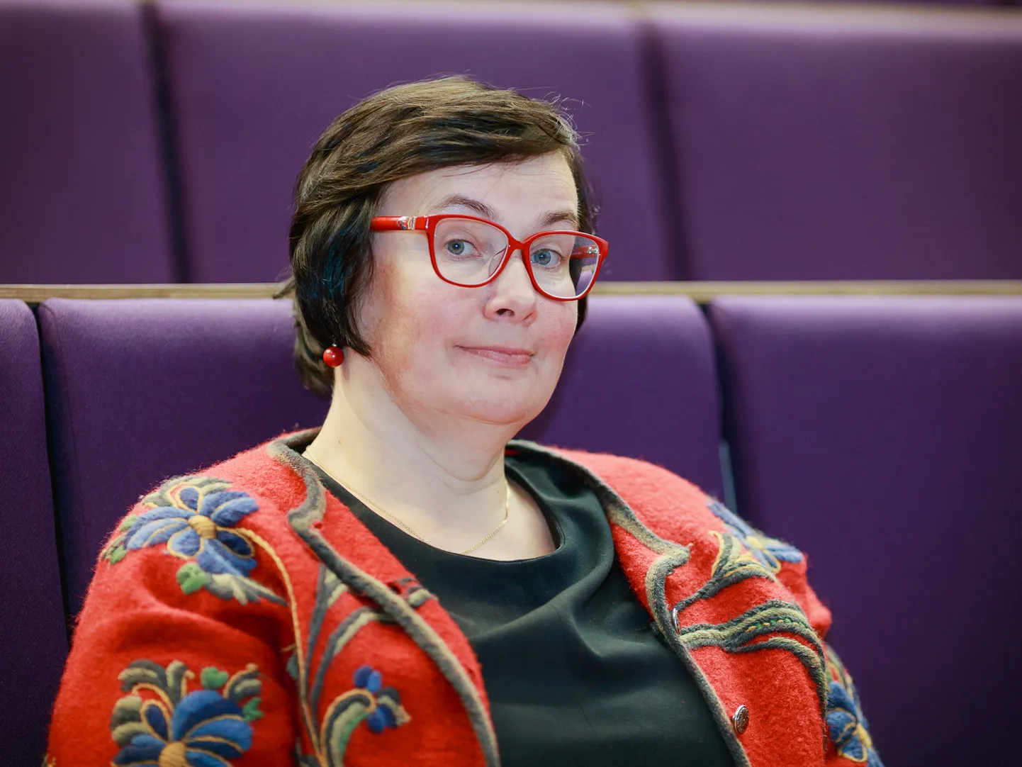 Katri Raik, riigikogu liige, Sotsiaaldemokraatlik Erakond