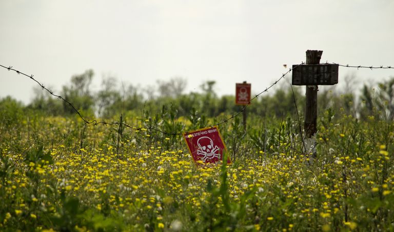 Заминированное поле в Луганской области у города Золотое. Не обрабатывается уже восемь лет.