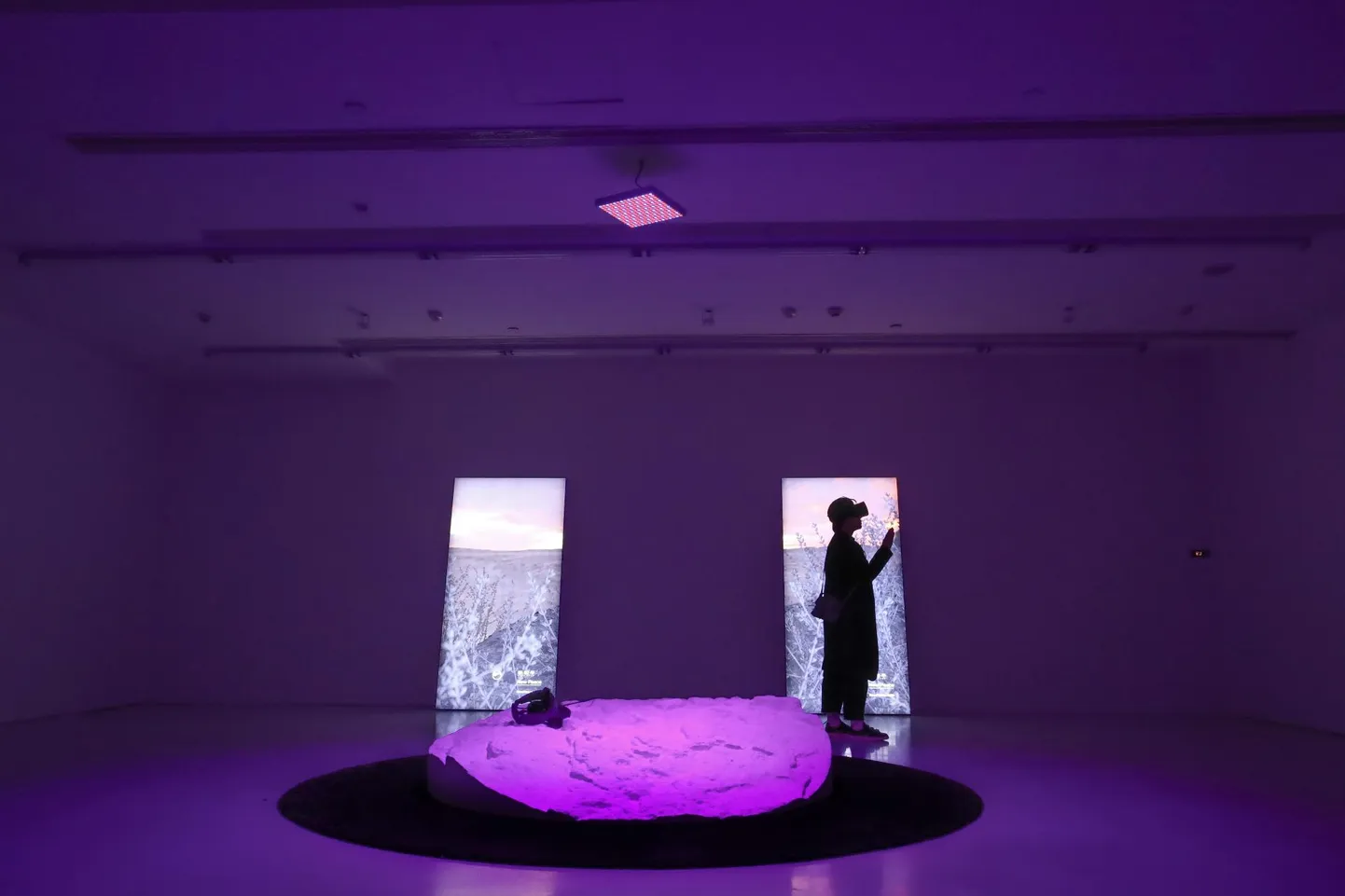 «Uus protokoll VR» (2018).