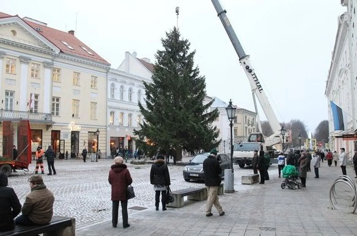 Eelmise aasta jõulukuusk toodi Põlvamaalt Kanepi vallast.