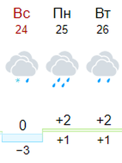 Gismeteo.ru lubab valgete jõulude asemel Tallinnasse hoopis lörtsi ja vihma. 