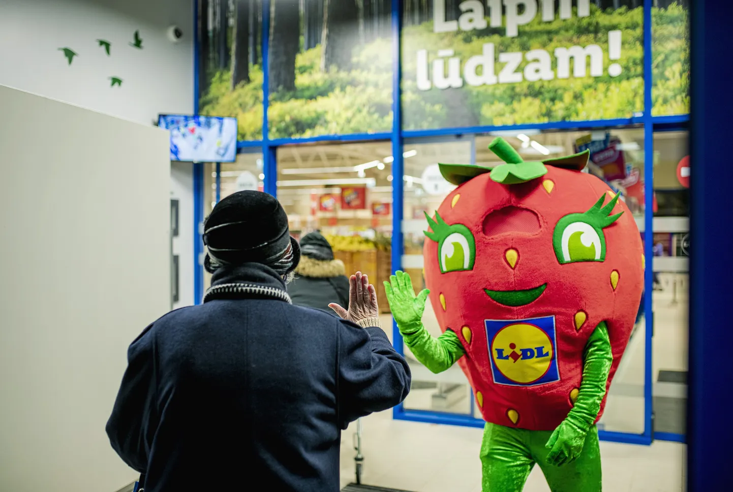 Открытие магазина Lidl. Иллюстративное фото