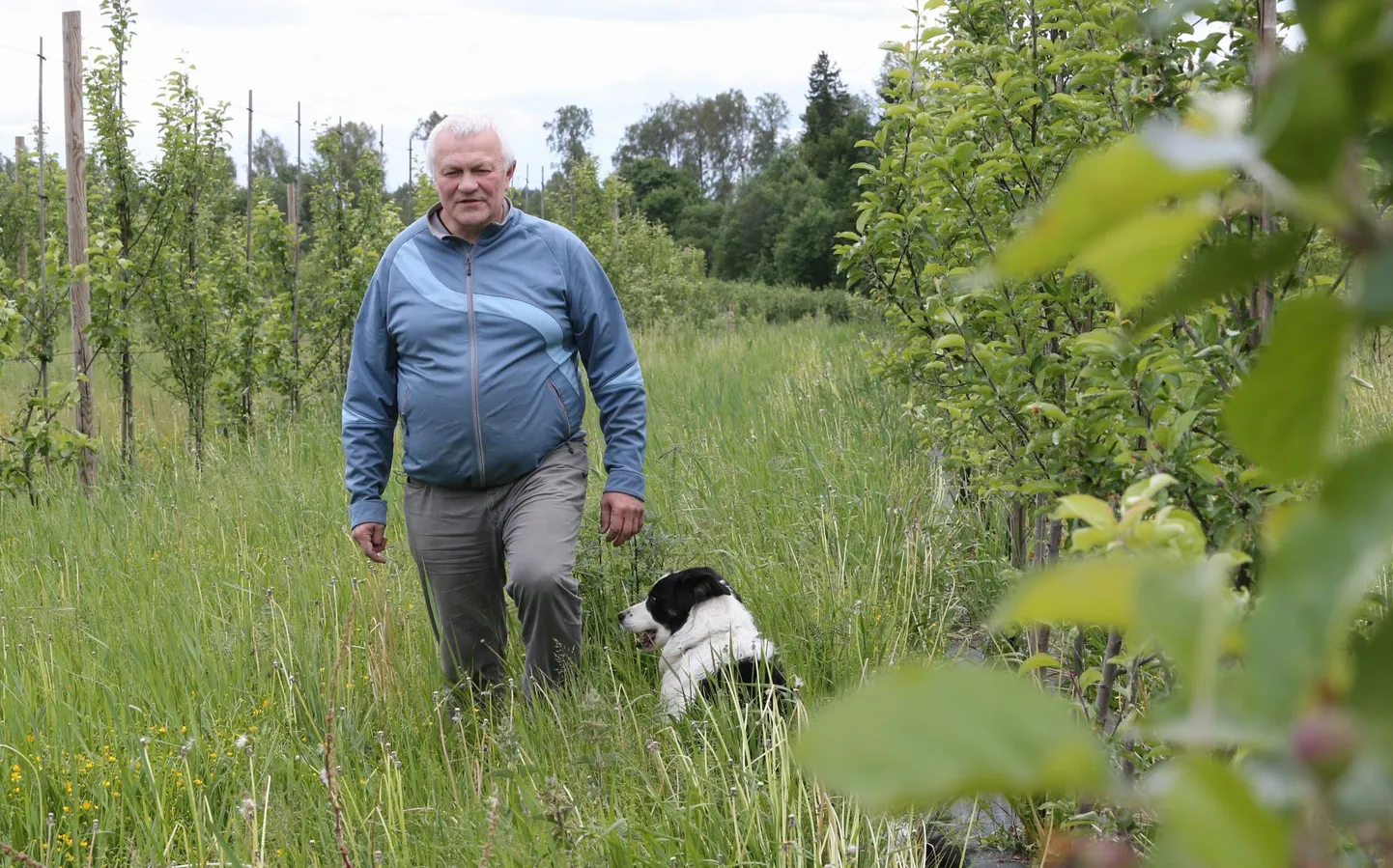 Sulev Nõmmann (pildil) toodab koos abikaasa ja lastega Lõuna-Eestis Valgjärvel maailmatasemel siidreid.