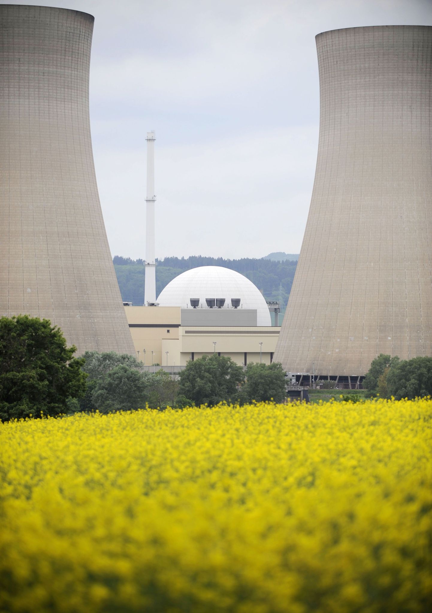 Атомная электростанция. Иллюстративное фото