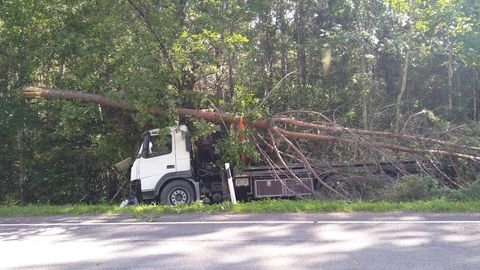 Veoauto pistis rinda puuga