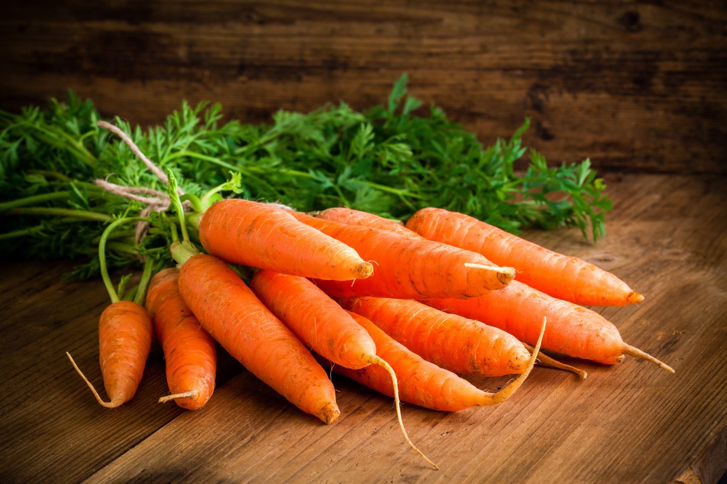 Свежая морковь. Иллюстративное фото