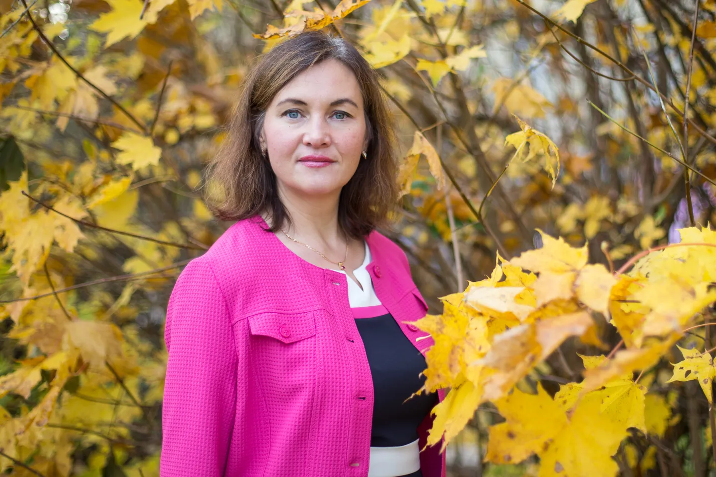 Kaire Viil, Virumaa eesti hariduse seltsi juhatuse liige, Tallinna tehnikaülikooli Virumaa kolledži keeltekeskuse juhataja
