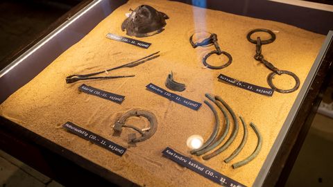 Arheoloogid leidsid Sutu külas rinnakee nõela ja rauatöö jäänuseid
