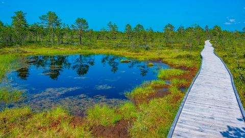 Eesti õhk kuulub Euroopa puhtaimate hulka