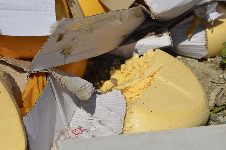 Nendest rammusatest juustukeradest saab peagi vaid puru. AFP/Scanpix