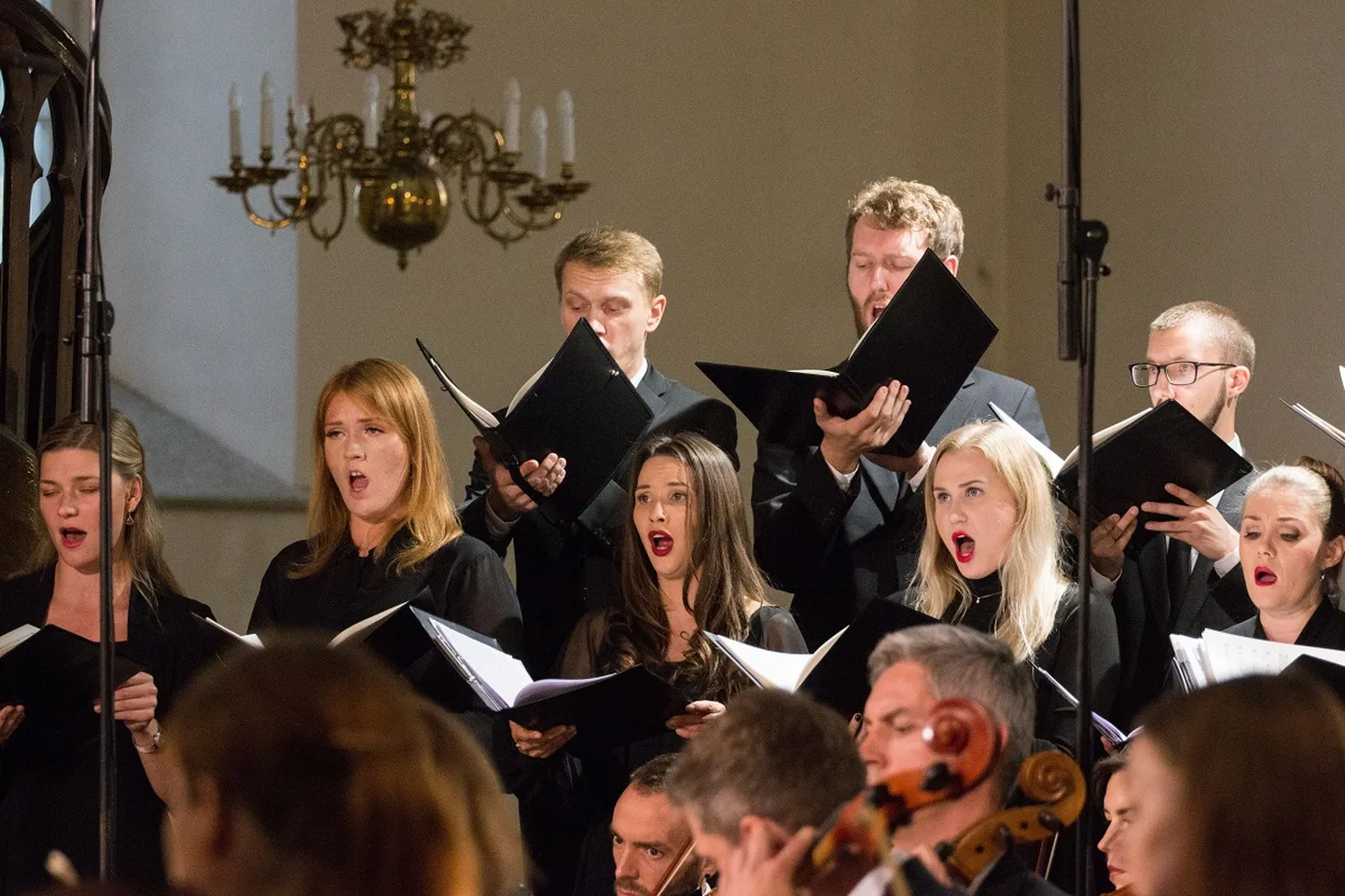 Voces Tallinn