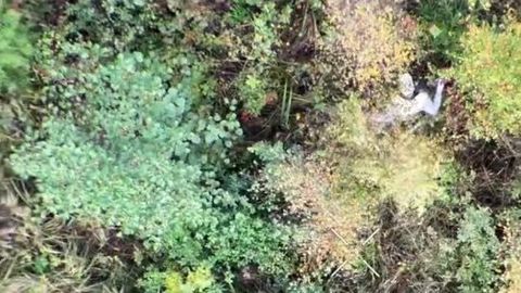 Alutaguse vallas metsa eksinud seeneline leiti drooni abil