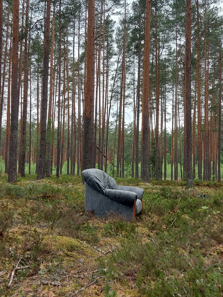 Кресло в лесу