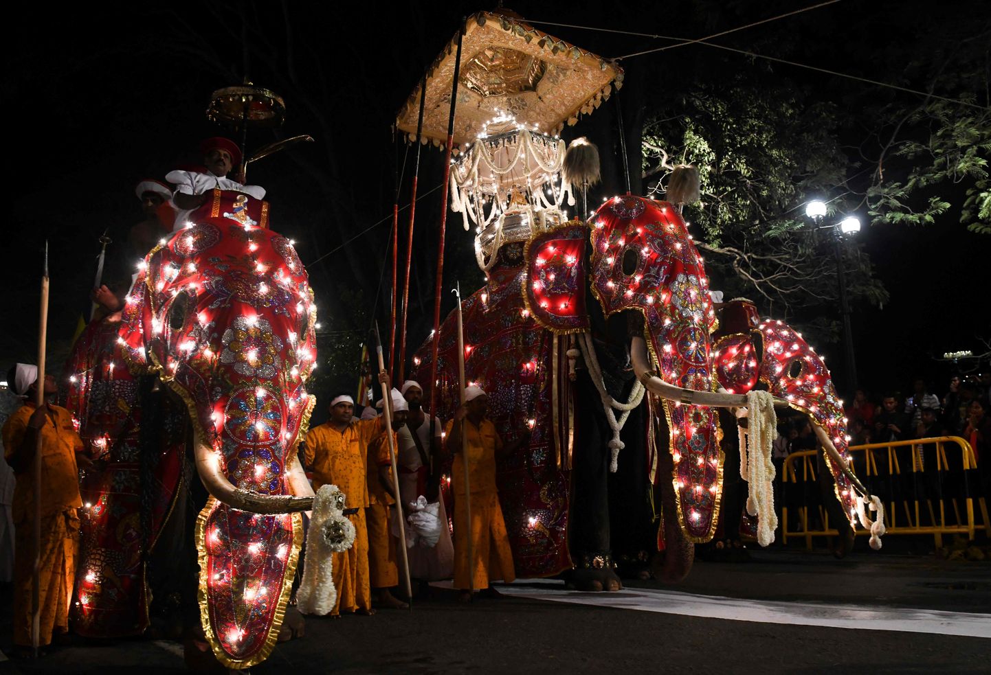 Ziloņi Šrilankas brīvdabas svētkos.