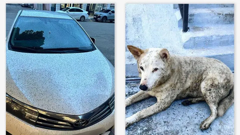 Нефтяной дождь и черное небо. Как живет Туапсе, где третий день горит нефть в порту