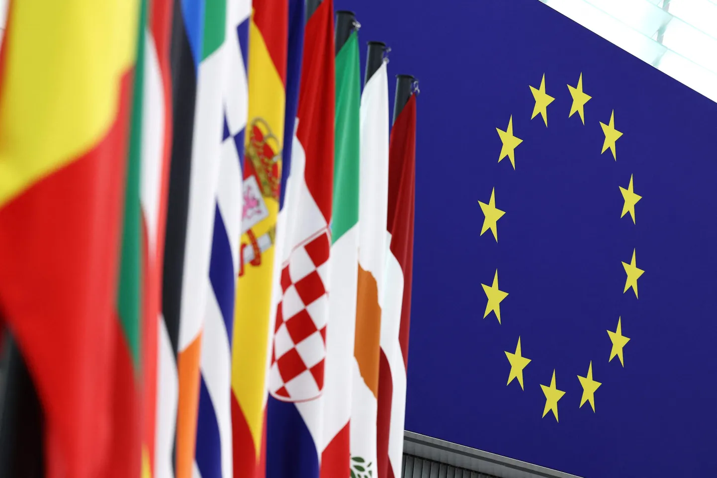 Euroopa Liidu liikmesriikide lipud.