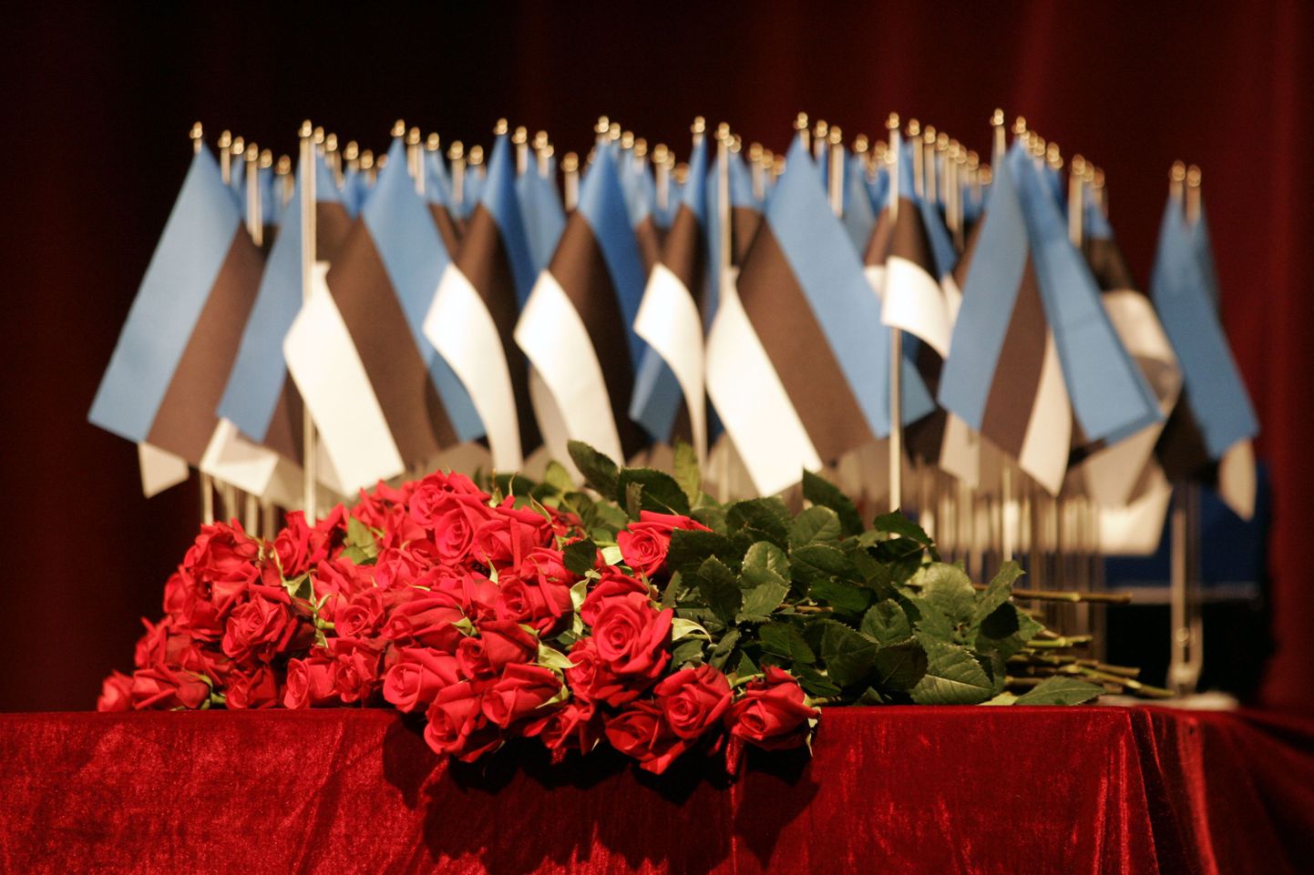 Lilled ja lipud kodakondsustunnistuste pidulik kätteandmisel tänavu märtsis Tallinnas. Tunnistused andsid üle rahvastikuminister Urve Palo ja siseminister Jüri Pihl.