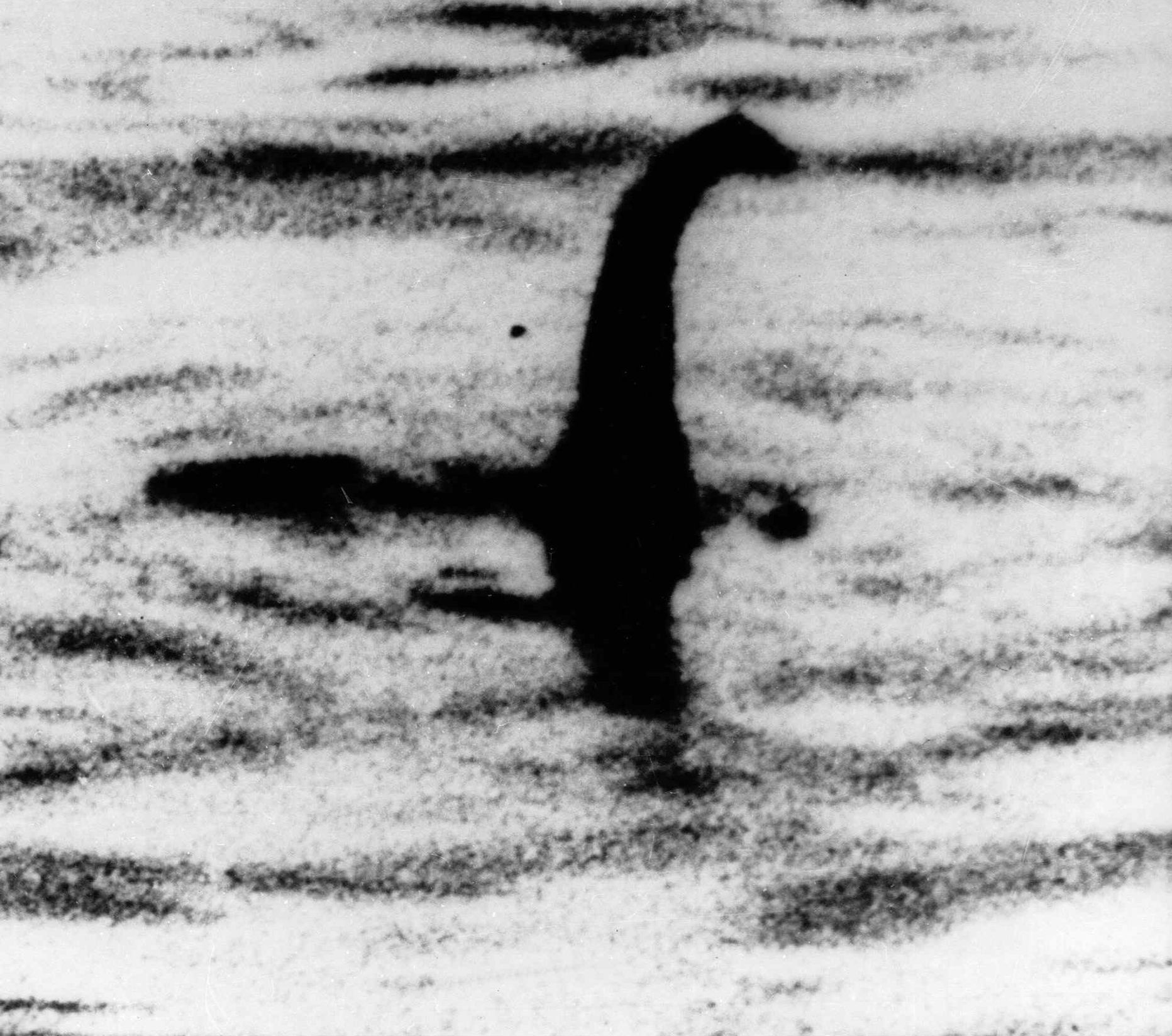 Üks kuulsamaid fotosid Loch Nessist.