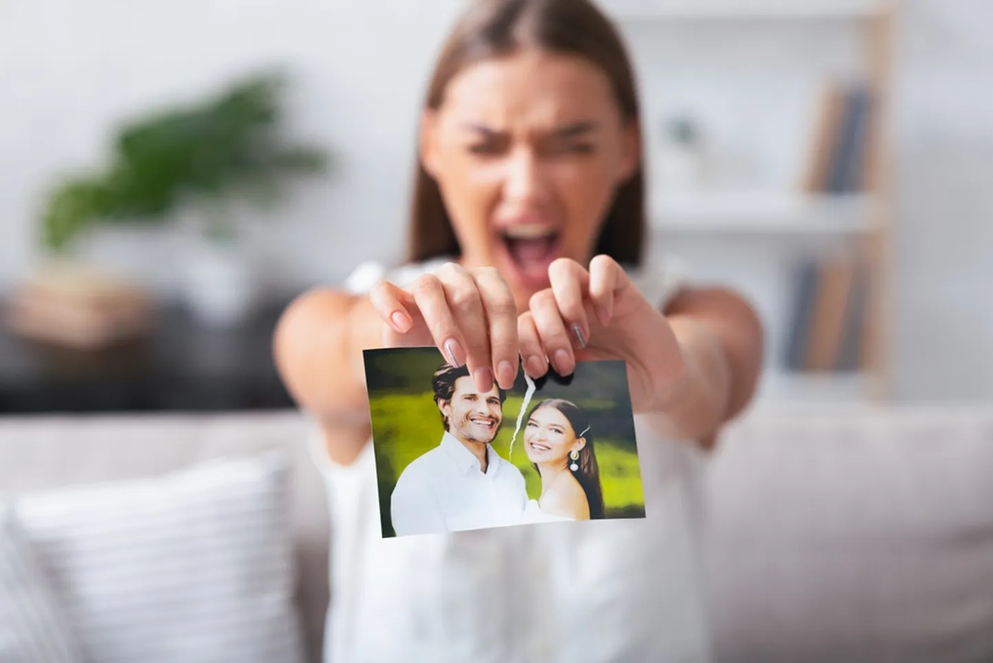 Artikli foto