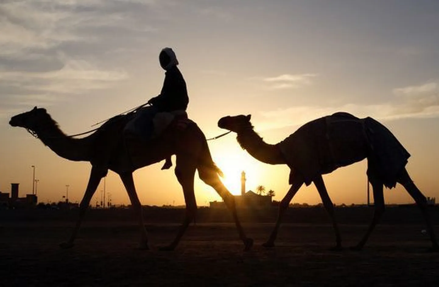 Saudi Araabias koguvad populaarsust kaameliburgerid