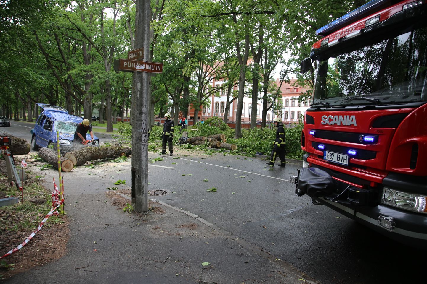 Pühavaimu tänava ja Ringi tänava ristil murdus puu üks harudest ja langes kõrval seisnud auto peale.