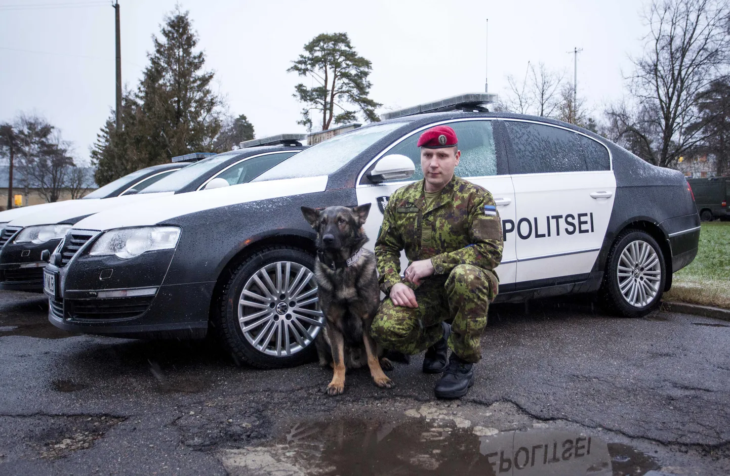 Pommikoer Bruno ja nooremveebel Martin Siht.