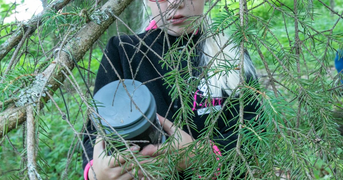 Sagadi looduskool esitleb seiklusrikkaid perepäevi