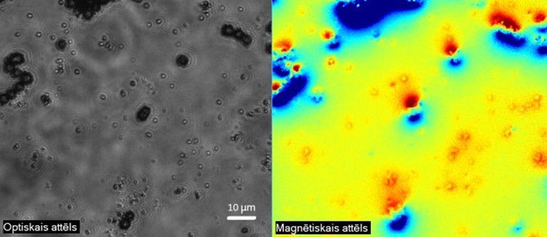 Reāli iegūta magnētiskā lauka fotogrāfija (pa labi) kopā ar mikroskopā redzamo daļiņu attēlu (pa kreisi) 