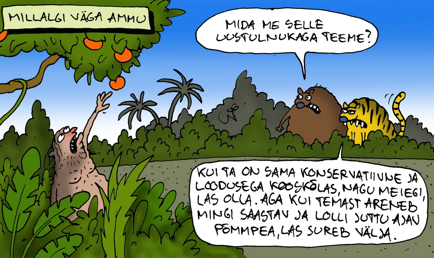 Karikatuur